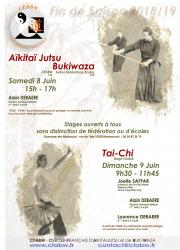 Affiche aikido taichi 2020